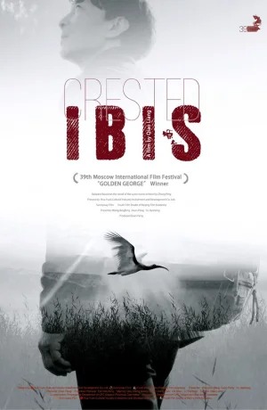 Дорама Хохлатый ибис онлайн